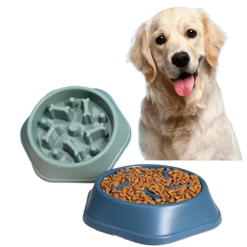 Royal Canin Food Medium - Ciotola per Cani a Rilascio Lento,