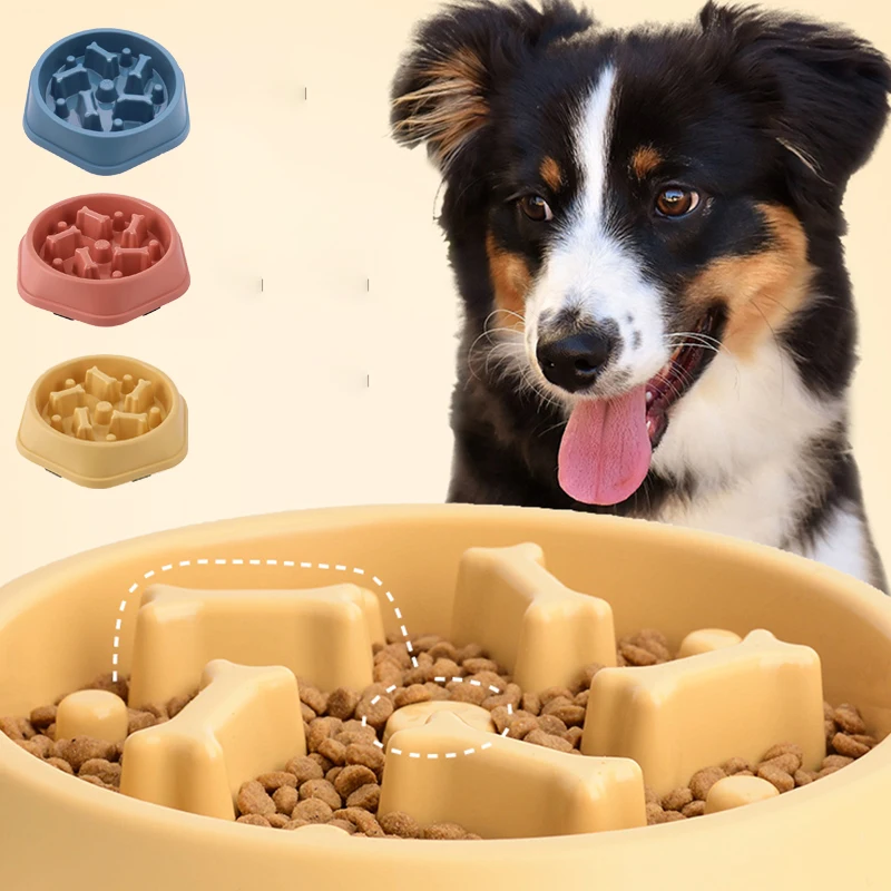 Ciotola per Cani a Rilascio Le - Royal Canin Food Medium recensione e prezzo