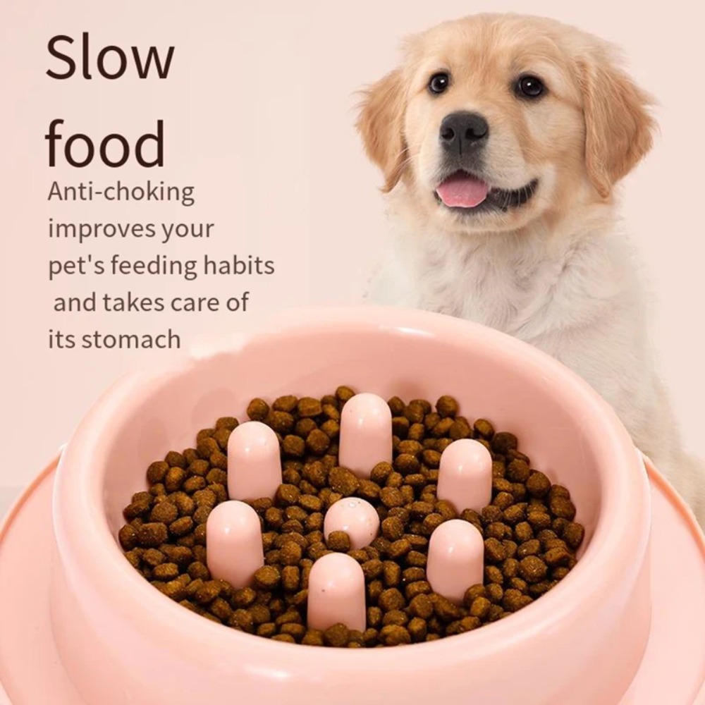 Ciotola per Cani con Alimentaz - Royal Canin Food Medium recensione e prezzo
