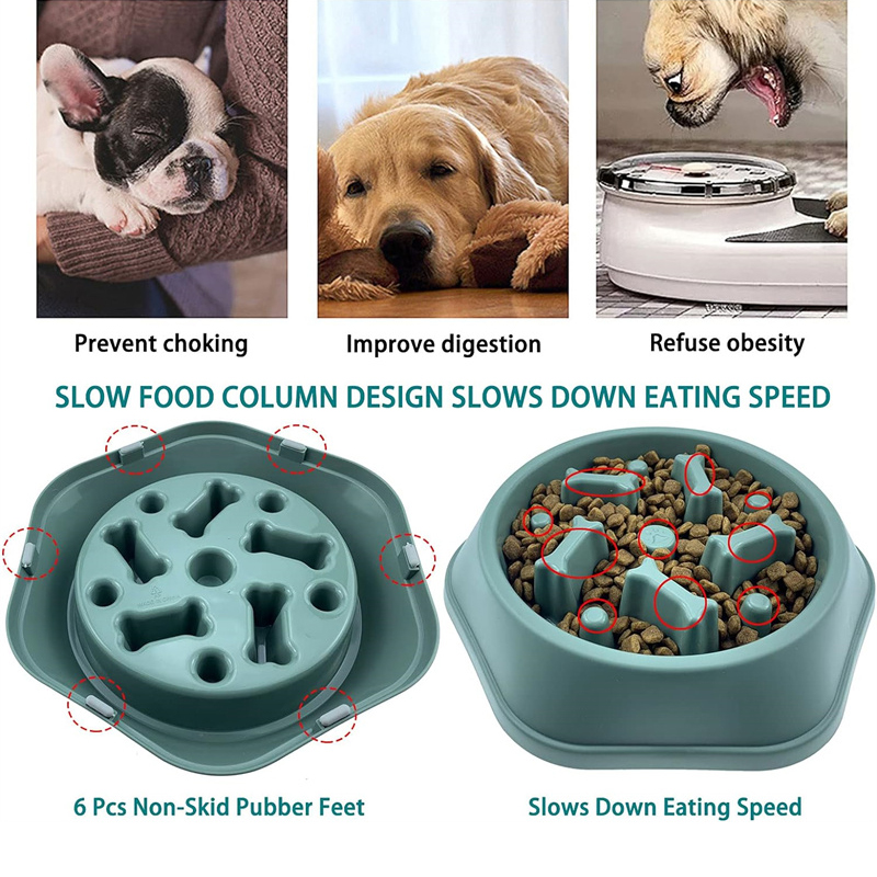 Ciotola per cani a lenta alime - Royal Canin Food Medium recensione e prezzo